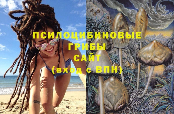 трава Алзамай