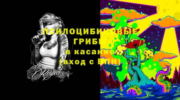 бошки Алексин