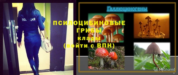 бошки Алексин